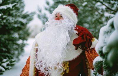 В Новый год Деды Морозы и Снегурочки смогут летать над Россией бесплатно