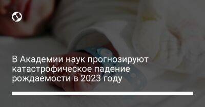 Элла Либанова - В Академии наук прогнозируют катастрофическое падение рождаемости в 2023 году - liga.net - Украина