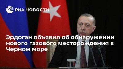 Эрдоган: Турция обнаружила 58 миллиардов кубометров запасов природного газа в Черном море