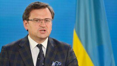 Украина намерена провести мирный саммит в ООН в ближайшие месяцы – Кулеба