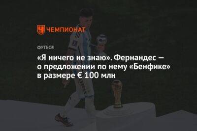 «Я ничего не знаю». Фернандес — о предложении по нему «Бенфике» в размере € 100 млн