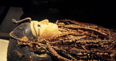 Взбивать крючком около 20 минут: как древние египтяне удаляли мозг в мумиях