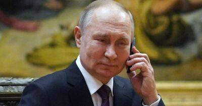 "Огурчиков пришлешь?": Путин позвонил девочке из оккупированной Запорожской области (видео)