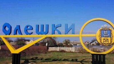 Россияне атаковали Олешки в Херсонской области, есть жертва - ru.slovoidilo.ua - Украина - Херсон - Херсонская обл. - Олешки