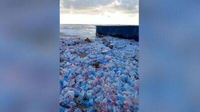 Видео: на пляжи Ашкелона вынесло тысячи игрушек и товаров для детей
