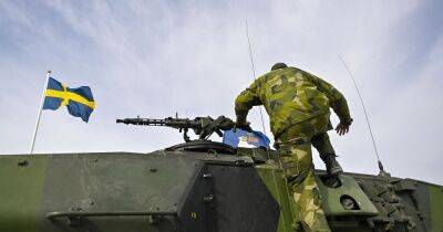 Швеция выделила $19,2 млн для военной помощи Украине: куда пойдут средства