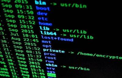 Хакеры опубликовали данные более 70 украинских солдат и офицеров «кибервойск»