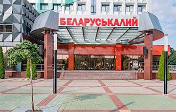 Санкции сильно ударили по «Беларуськалию»