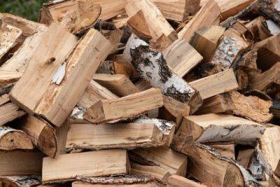 Во Франции власти приняли решение о выдаче талонов на дрова