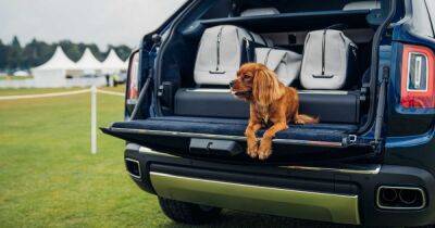 Британский троллинг: Rolls-Royce собирается продавать сиденья для собак с названием модели Bentley