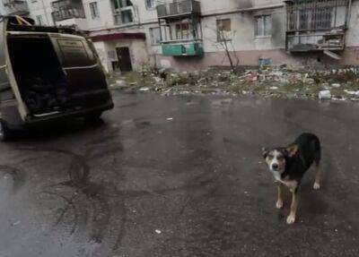 "Зате скільки нових багатих людей стало": відео зі зруйнованого Сєвєродонецька