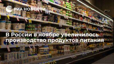Росстат: Россия в ноябре увеличила производство продуктов питания на один процент