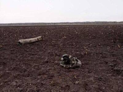 В Беларуси заявили о падении украинской ракеты в Брестской области недалеко от границы с Волынью