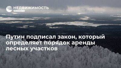 Путин подписал закон, определяющий порядок аренды лесных участков для инвестпроектов