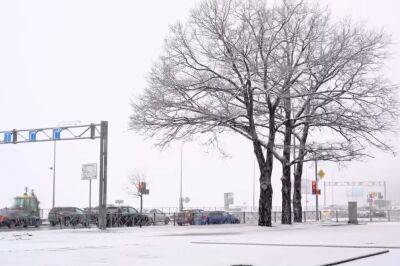Тепло, дожди и снег: синоптик Диденко предупредила о погоде в пятницу 30 декабря