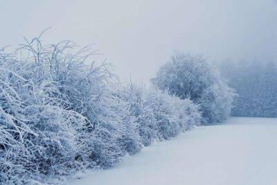 Мороз - Синоптики розповіли, яка погода чекає на українців найближчими днями - lenta.ua - Украина