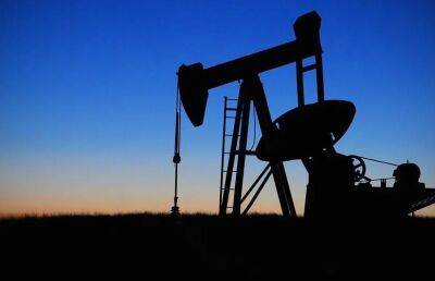Россия не будет сотрудничать со странами, которые поддерживают нефтяное эмбарго