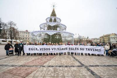 Все Эгле Вильнюса поддерживают Рождественускую ель за 230 тысяч евро