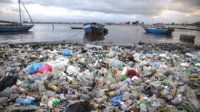 Борьба с пластиковыми отходами: ООН готовит глобальное соглашение