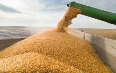 Россияне украли украинскую пшеницу на один млрд долларов - СМИ