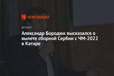 Александр Бородюк высказался о вылете сборной Сербии с ЧМ-2022 в Катаре