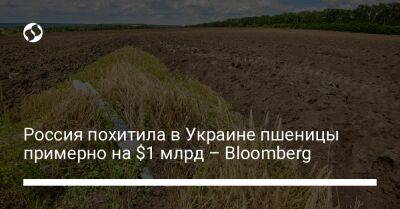 Россия похитила в Украине пшеницы примерно на $1 млрд – Bloomberg