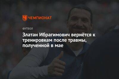 Златан Ибрагимович вернётся к тренировкам после травмы, полученной в мае