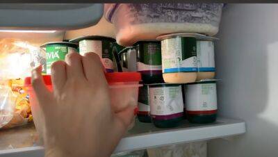 Несколько способов сохранить продукты в холодильнике, когда долгое время нет света: на что обратить внимание
