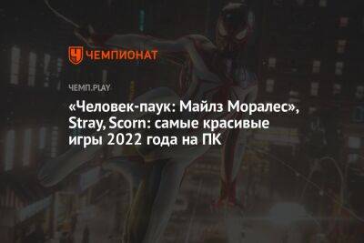 «Человек-паук: Майлз Моралес», Stray, Scorn: самые красивые игры 2022 года на ПК