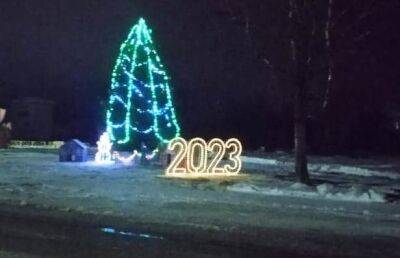 Энергетики помогли украсить главную новогоднюю ёлку в поселке Пено