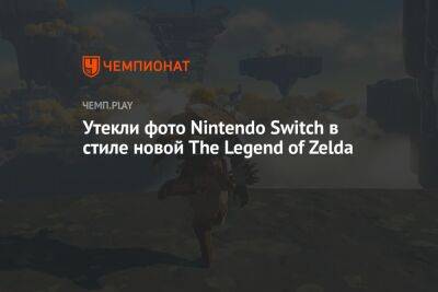 Фото: Nintendo Switch в стиле сиквела The Legend of Zelda: Breath of the Wild