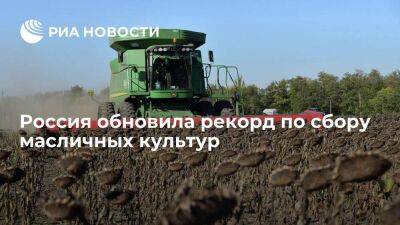 Россия в 2022 году собрала 25,65 миллиона тонн подсолнечника, сои и рапса, обновив рекорд