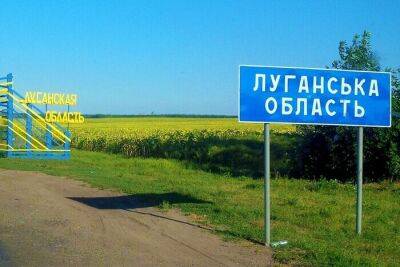 Без проривів, але просування є: Гайдай про поточну ситуацію на Луганщині