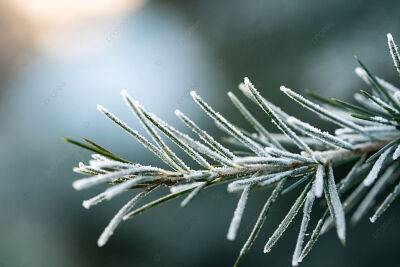 Коли вдарять сильні морози та випаде сніг: прогноз Укргідрометцентру