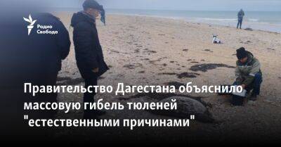 Правительство Дагестана объяснило массовую гибель тюленей "естественными причинами"