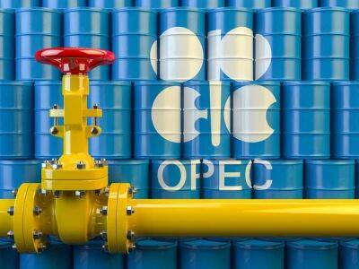 ОПЕК+ решил не сокращать добычу на фоне ограничения цены на российскую нефть
