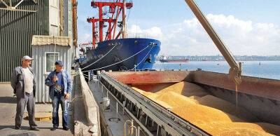 Рекордний врожай спричинив падіння цін на чорноморське зерно