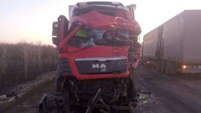 В Воронежской области в ДТП с участием трех большегрузов пострадали два водителя
