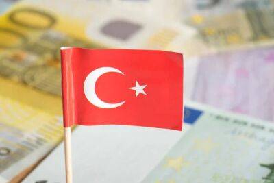 Инфляция в Турции в ноябре замедлилась впервые за полтора года
