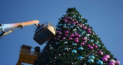 Худжанд обещает удивить необычной елкой к Новому году