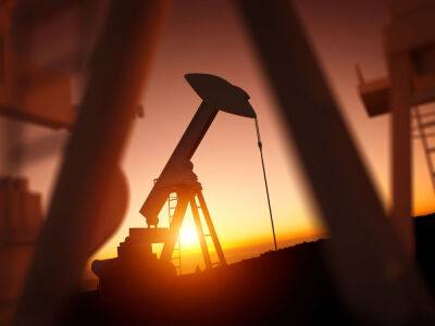 Песков заявил, что Россия готовит ответ на введение "потолка цен" на нефть