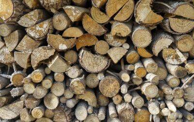 Україна заготовила рекордний запас паливної деревини