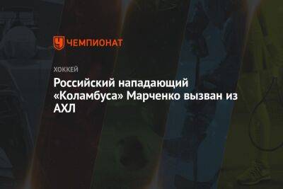 Российский нападающий «Коламбуса» Марченко вызван из АХЛ