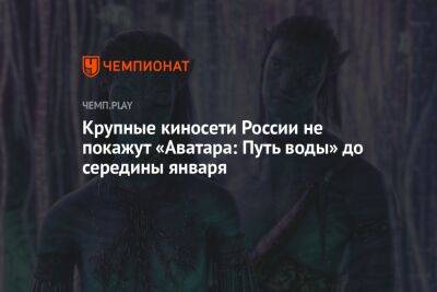 Крупные киносети России не покажут «Аватара: Путь воды» до середины января