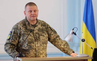Залужный поздравил украинских воинов с Днем ВСУ