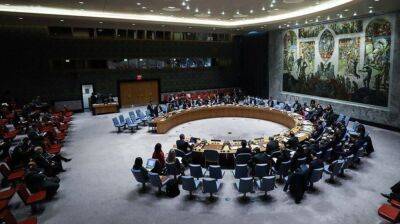 Рада безпеки ООН 6 грудня проведе засідання щодо гуманітарної ситуації в Україні
