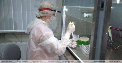 Lukashenko: Belarus coped with COVID-19 pandemic better than anyone