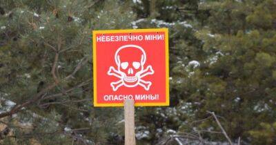 "Welcome to Ukraine!": теробороновцы построили минные заграждения на границе с Беларусью (ВИДЕО)