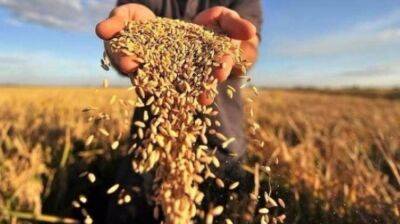Свириденко рассказала, сколько агропродукции в этом году экспортировала Украина