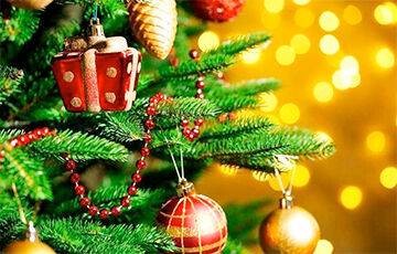 Где белорусам купить новогоднюю елку и сколько это стоит